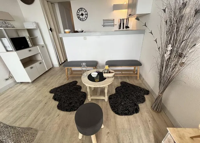 4 Couchages Cap D'agde Naturisme Cn040-442